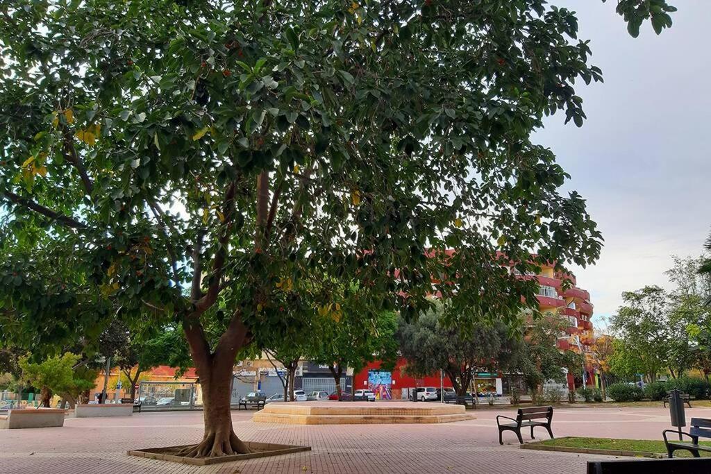 Casita De Tais Daire Alicante Dış mekan fotoğraf